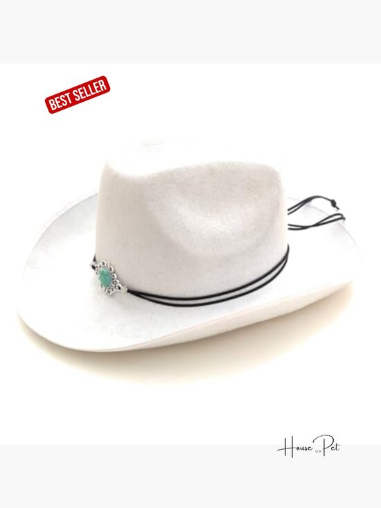 Adjustable Southwestern Cowboy Hat Band with Bolo Slide Closure main image 6